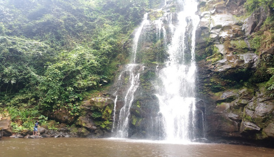 Slides Images for Day Trip To Materuni Waterfall & Coffee Tour 2026-2027