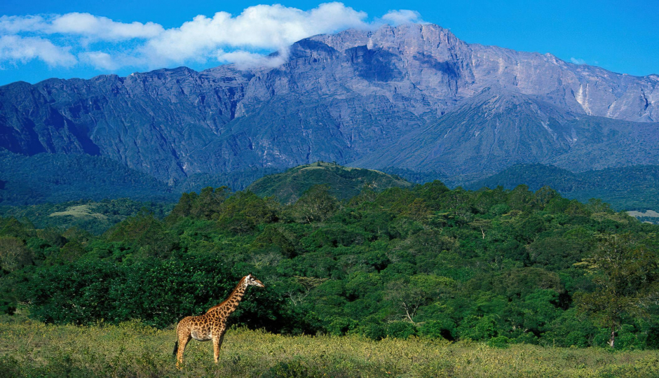 Best Mount Meru Hike For 2025-2026