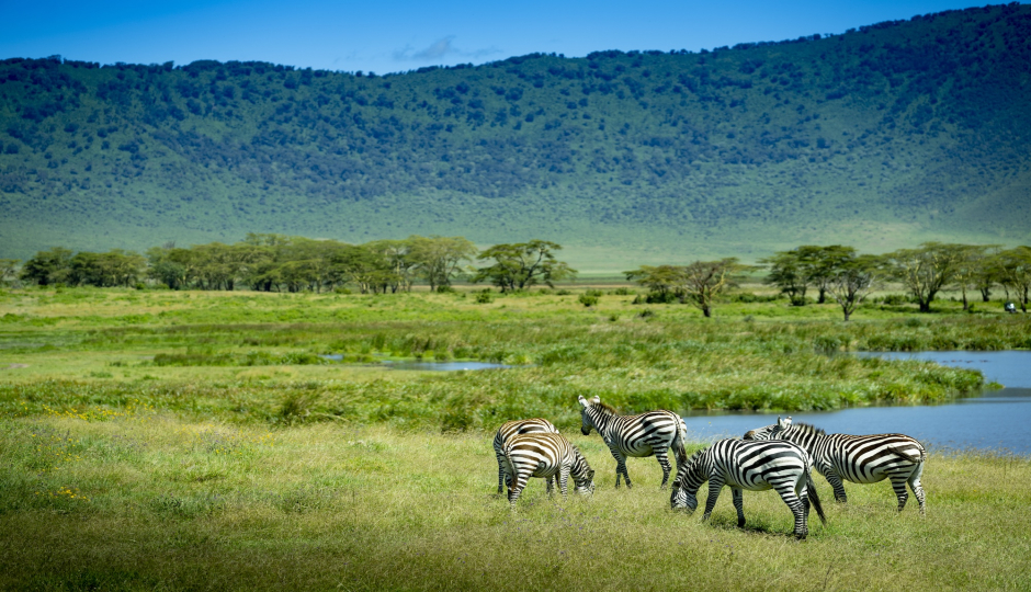 Slides Images for Tanzania 7 Days Migration Safari