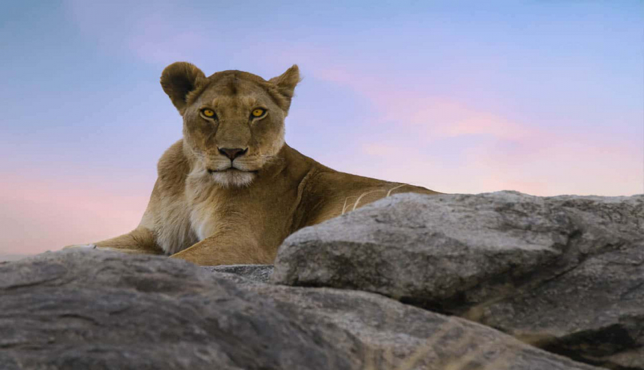 Slides Images for 5-Days Tanzania Mid-range Safari