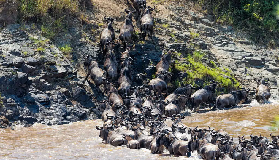 Slides Images for Tanzania 7 Days Migration Safari