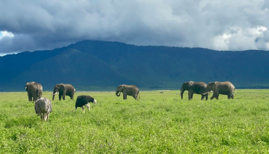 Slides Images for Tanzania Safari: A Journey Into Africa’s Untamed Heart