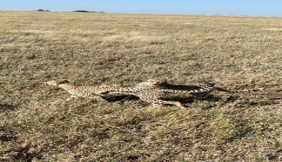 Slides Images for Serengeti & Ngorongoro Group Joining With Balloon