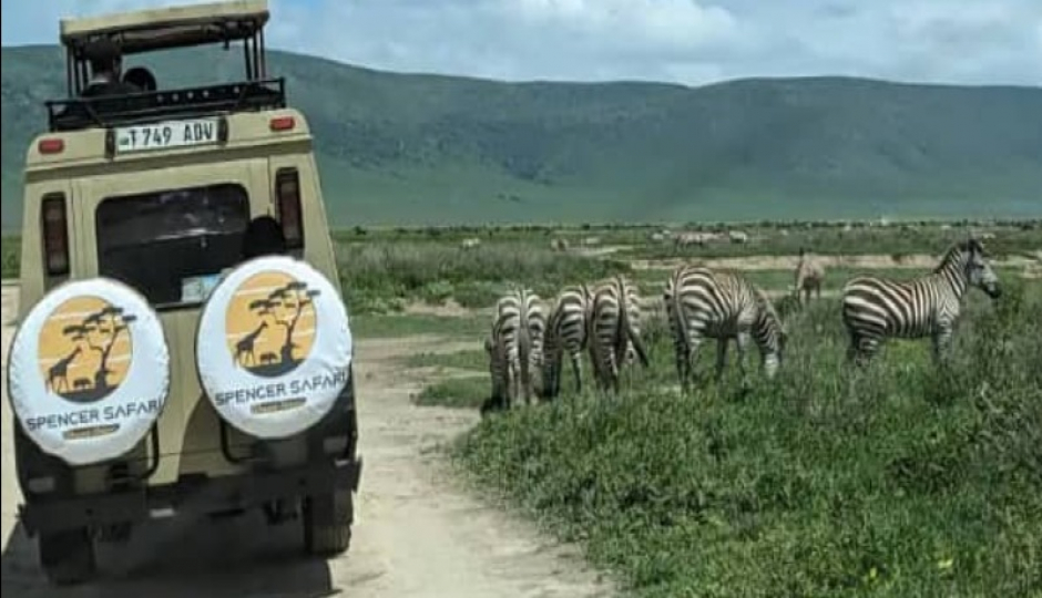 Slides Images for  Serengeti Safari From Arusha