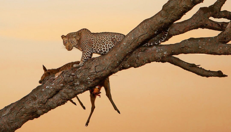 Slides Images for 6 Days Safari- Tarangire Serengeti & Ngorongoro Crater