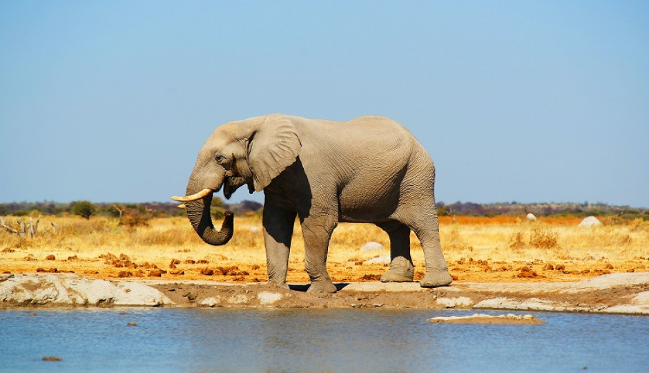 3 Days Tanzania Joining Safari 2026-2027