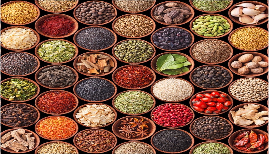 Slides Images for 1 Day Tanzania Spice Farm tour 2025-2026
