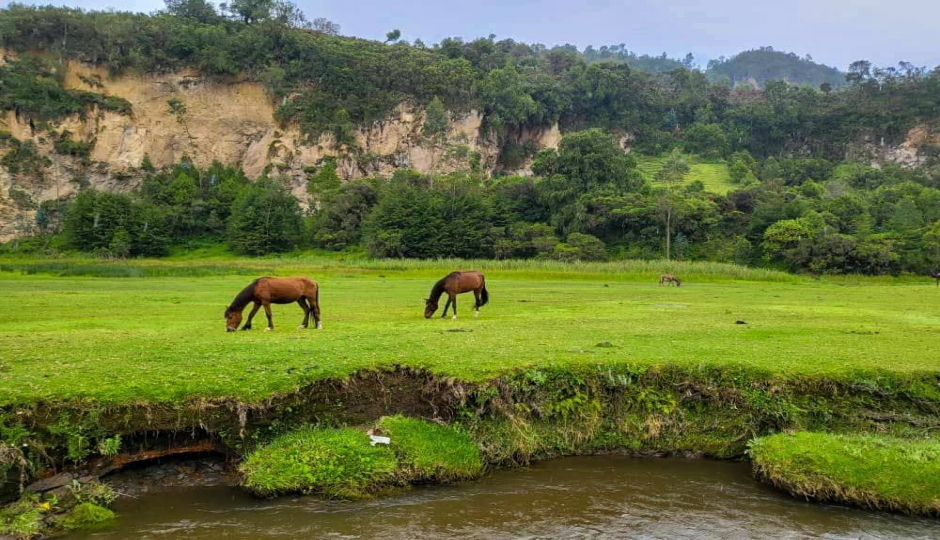 Slides Images for Wenchi Crater Lake Tour | 2-Day Nature & Hiking Adventure