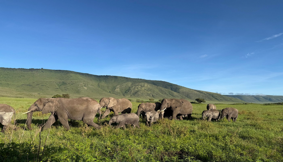 Slides Images for 7-Day Beautiful Luxury Adventure - Private Safaris 