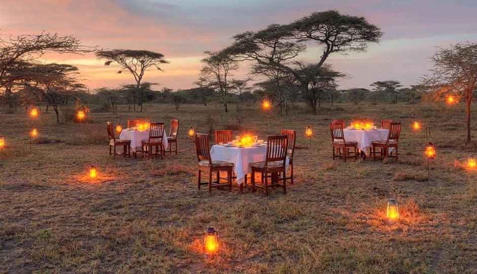 10 Days Luxury Tanzania Wildlife Safari