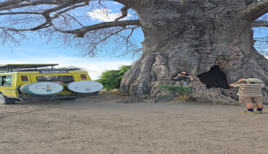 Slides Images for Luxurious Taste Of Tanzania Safari Tarangire & Ngorongoro 