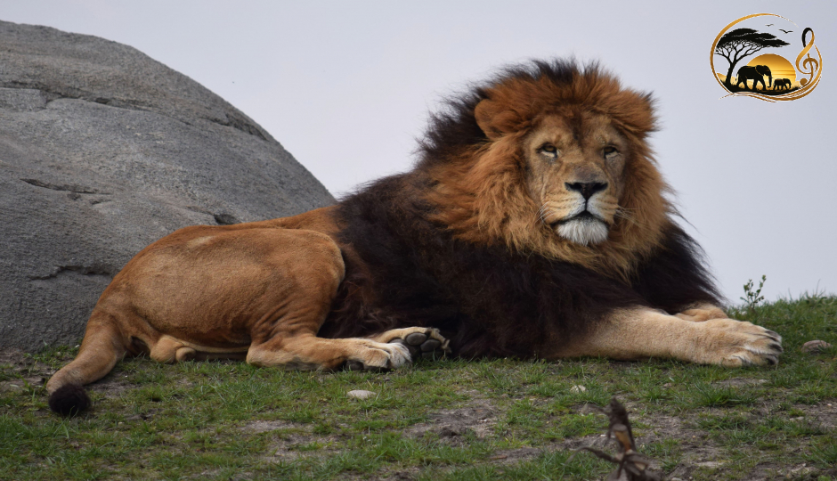2 Days Tarangire And Lake Manyara Safari