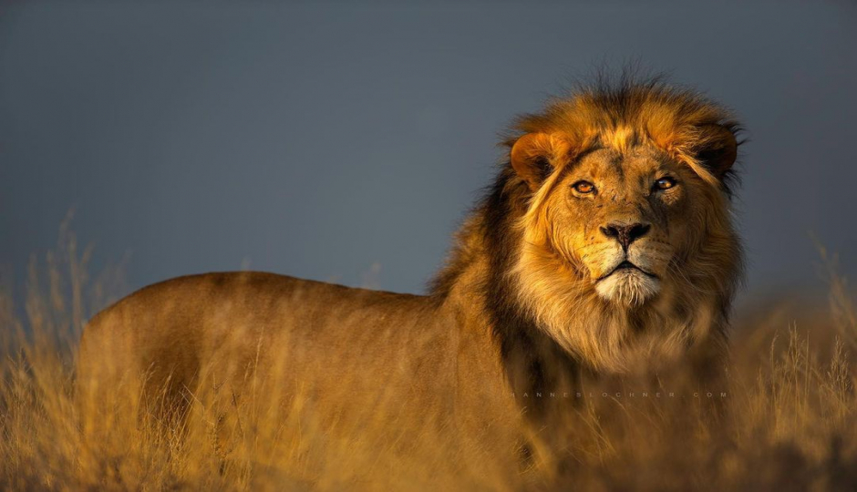 African Landmark Adventures
