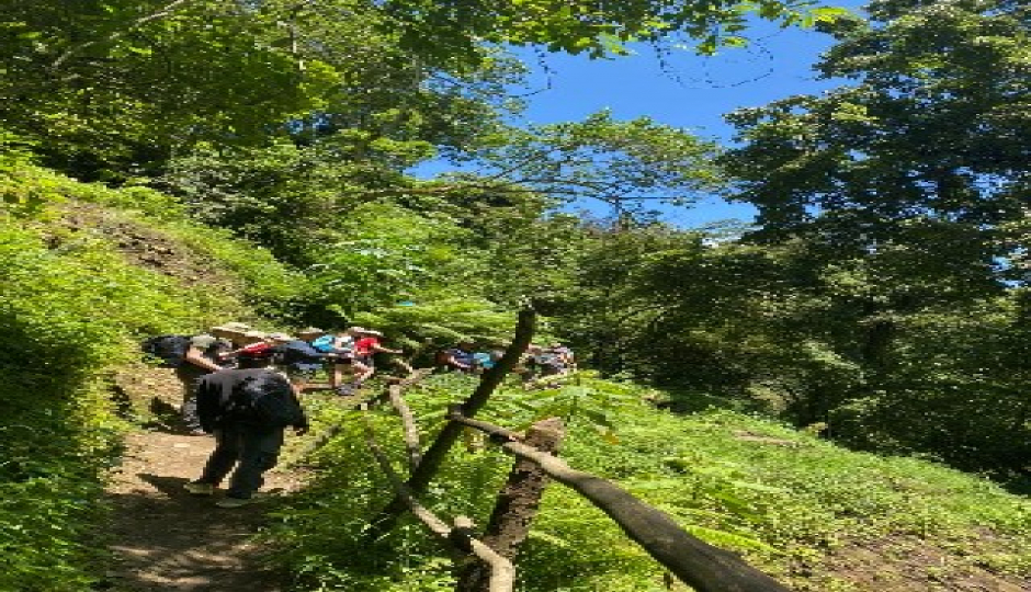 Slides Images for  Kilimanjaro Hike To Mandara Hut