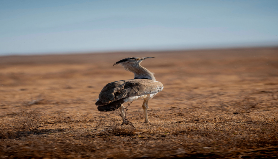 Slides Images for Experience Camping And Lodge Safari