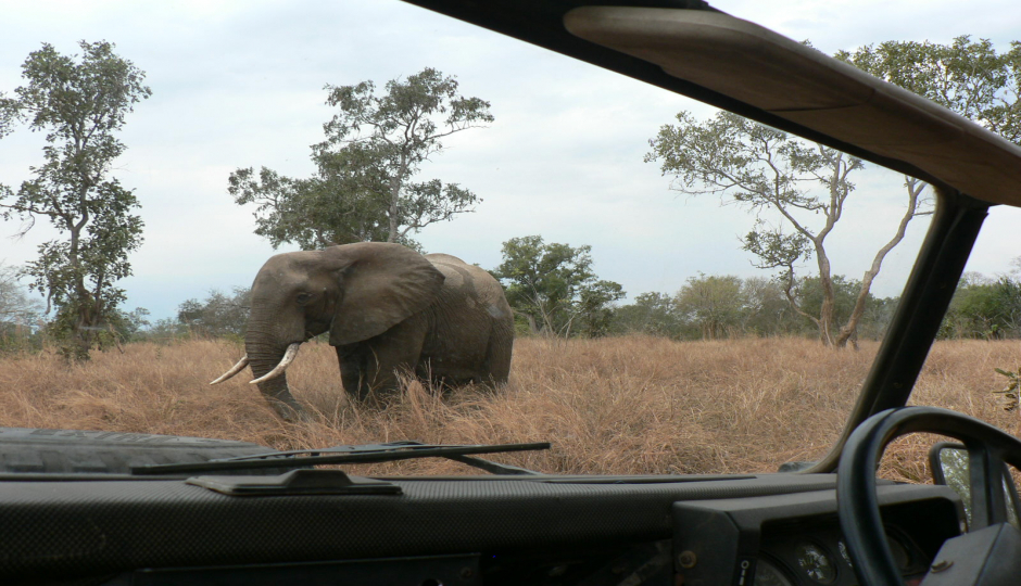 Day Trip : Saadani National Park From Dar-es-salaam
