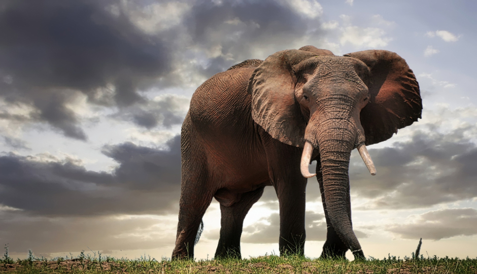 Slides Images for 7 Days Lodge and Tented Safari
