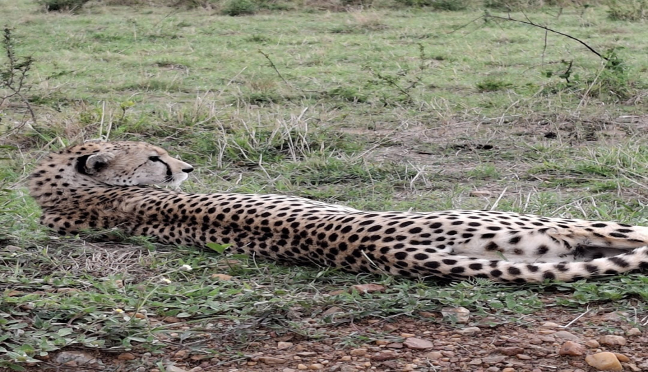 Slides Images for 4 Days/ 3 Nights Mara Nakuru