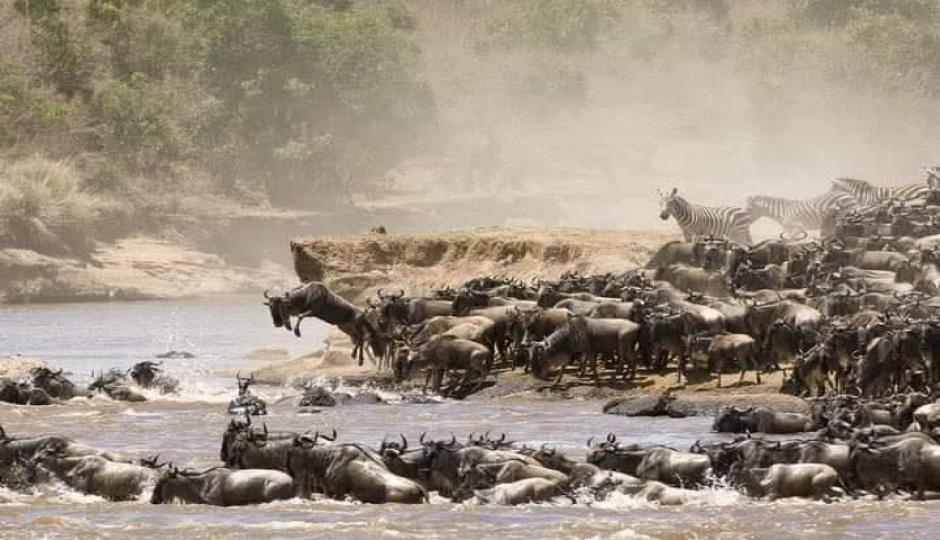Slides Images for Witness The Great Migration-northern Serengeti