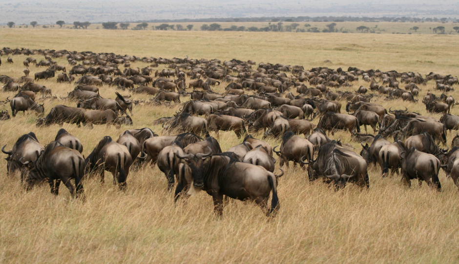 Slides Images for 5 Day Tanzania Camping Safari