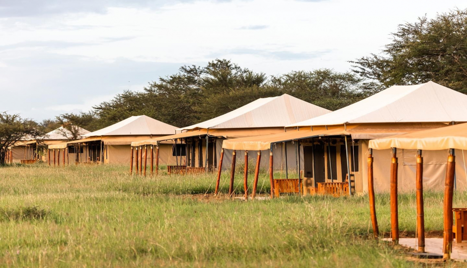 Slides Images for 6 Days Lake Manyara, Serengeti, Ngorongoro & Tarangire