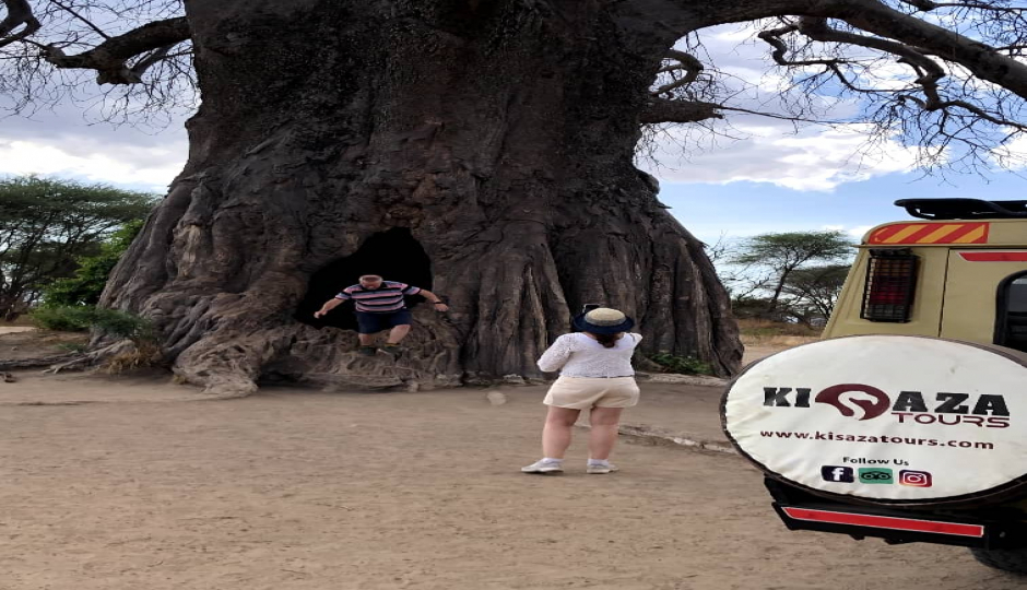 Slides Images for Tarangire National Park Excursion