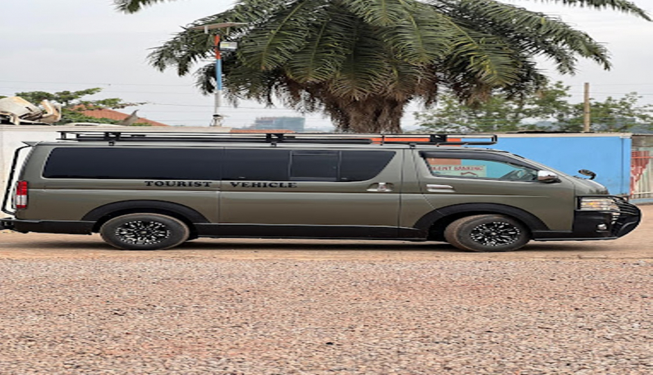 Slides Images for Gorillas, Chimps, Ziwa, Murchison And Queen Elizabeth