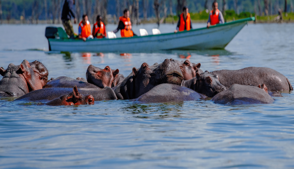 Slides Images for 7-Day Masai Mara~nakuru~naivasha~amboseli