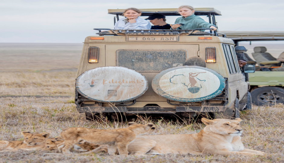 Slides Images for Ndutu Migration Luxury Safari Calving Season