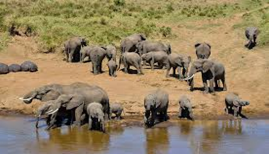 Slides Images for  Hiking Adventure Kilimanjaro Tarangire &ngorongoro
