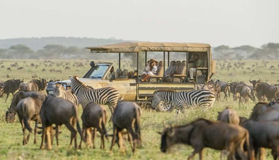 Slides Images for The Majestic Crown: Signature Serengeti & Ngorongoro Safari