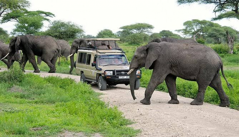 Slides Images for 8-Day Tanzania Amazing Luxury Safari