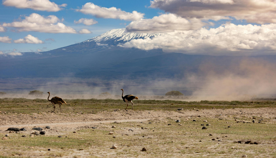 Slides Images for 8-Day Kilimanjaro Climb: Scenic Lemosho Route