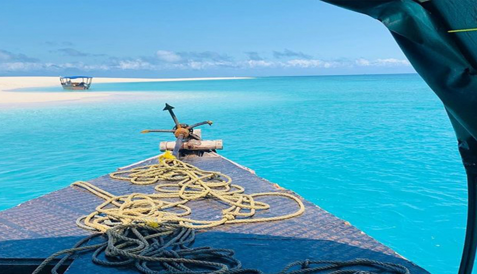 Slides Images for Kizimkazi Dolphin Tour In Zanzibar 2025-2026