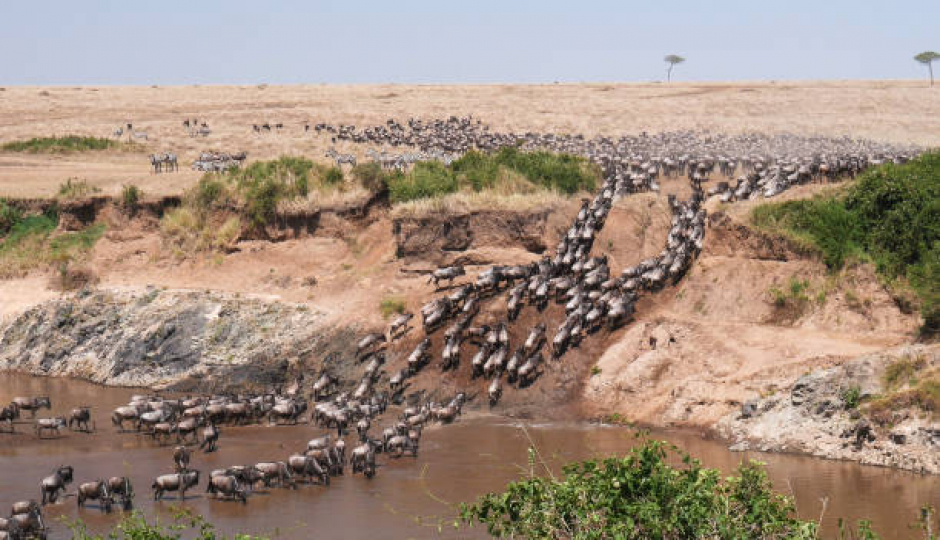 Slides Images for The Best 3 Days Tanzania Safari To Serengeti & Ngorongoro Crater