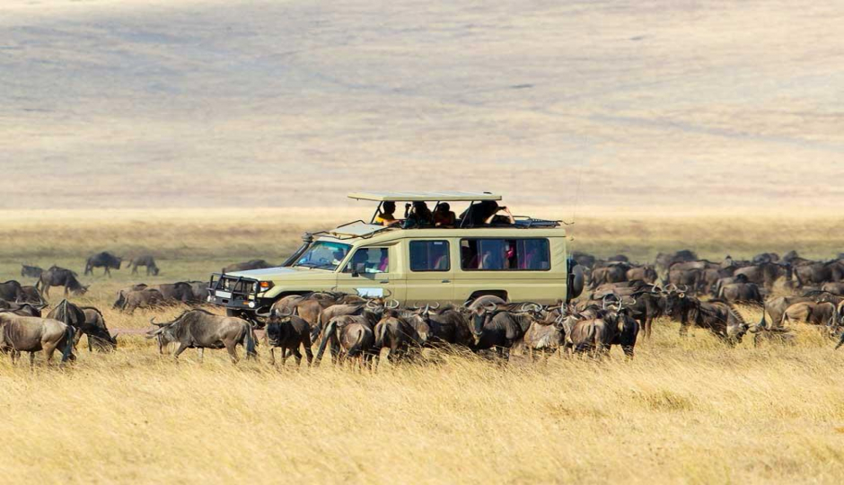 Slides Images for 3days Serengeti National Park & Ngorongoro Crater