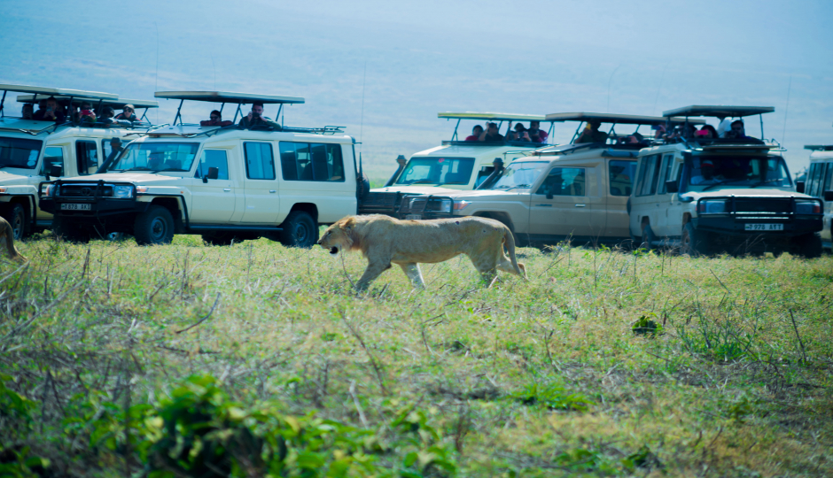 Slides Images for The Unforgettable 6 Days Tanzania Safari.
