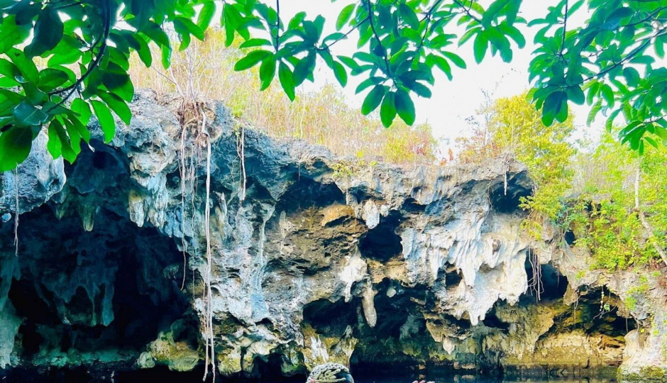 Slides Images for Jozani Forest Day Trip 2025/2026