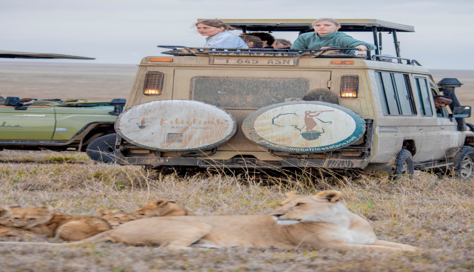 Mid-range Ndutu Migration Footsteps 