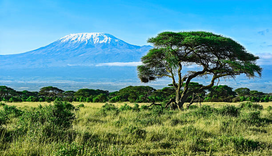 Kilimanjaro Lemosho Route