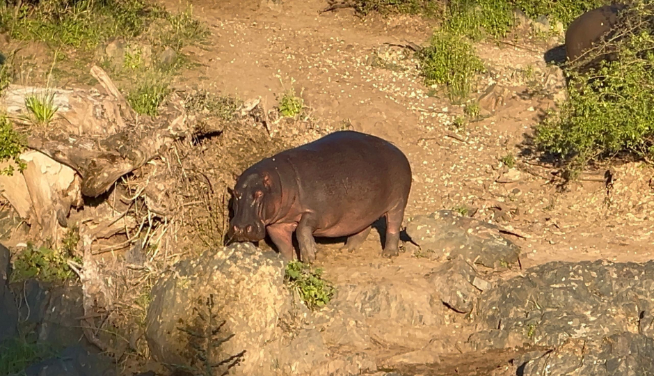 Slides Images for 4days  Tarangire, Serengeti & Ngorongoro Crater