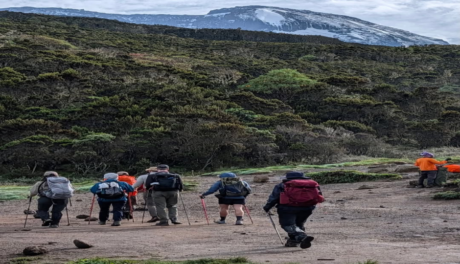 Slides Images for ?? 1-Day Mount Kilimanjaro  Hike (marangu Route) – Tanzania