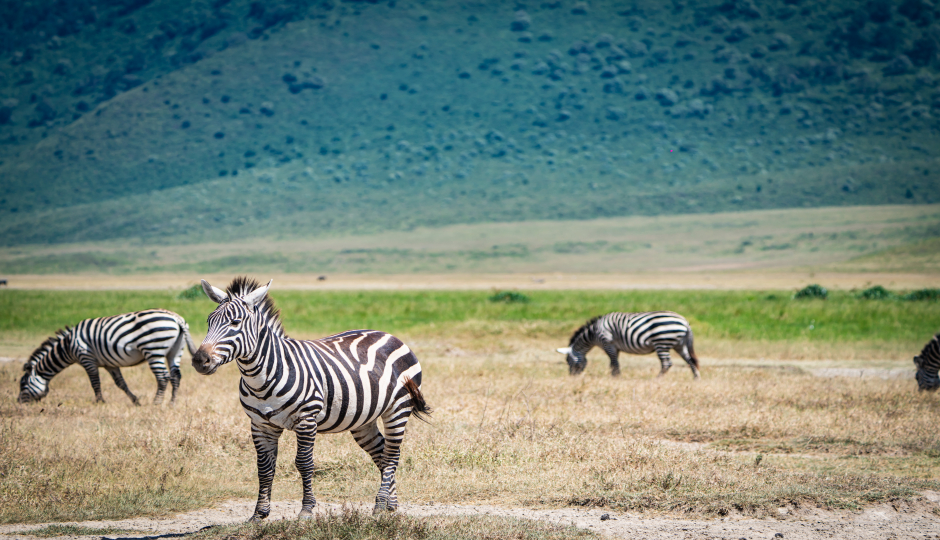 Slides Images for 3 Days Village Tour And Ngorongoro Crater Safari