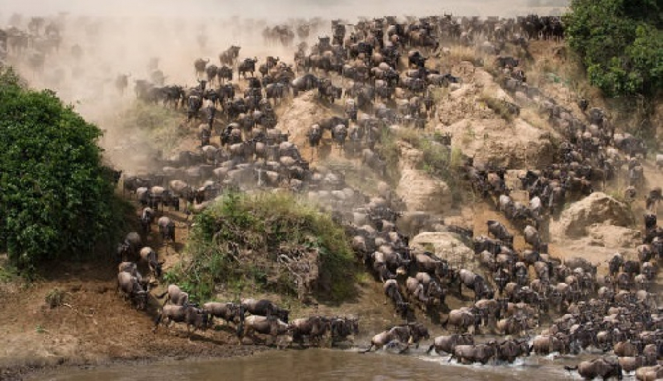 Slides Images for 3 Days Luxury Tanzania Serengeti Migration Safari