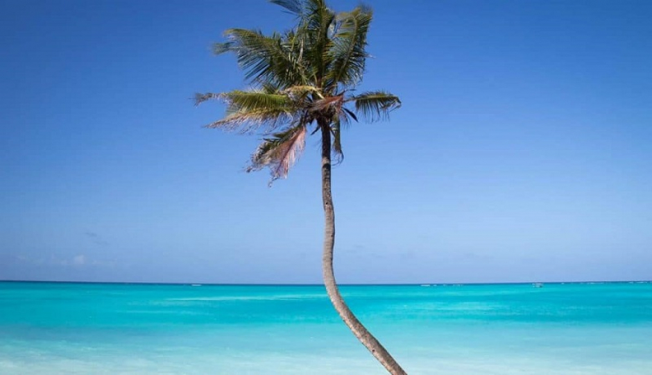 Slides Images for Day Trip To Mnemba Island Snorkeling Tour 2026-2027
