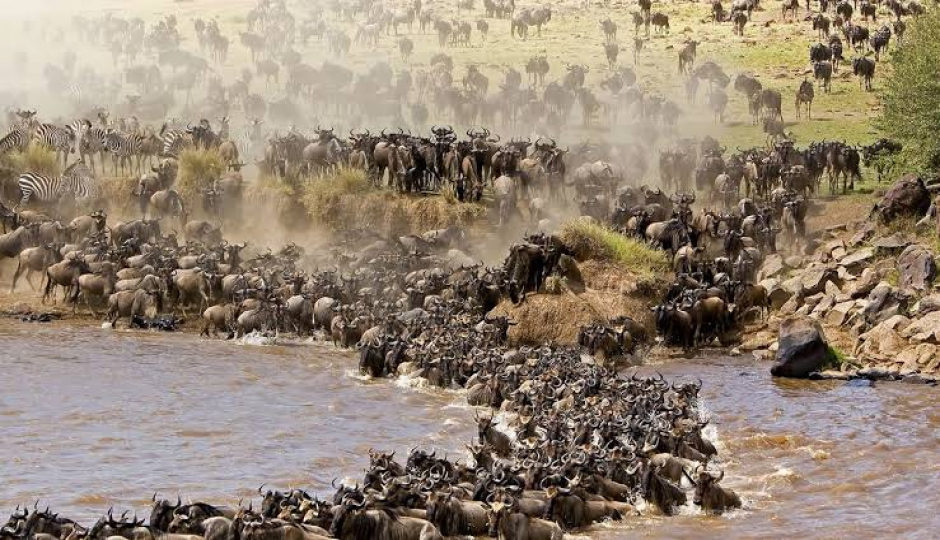Slides Images for 9 Days Wildlife Safari & Zanzibar Beach Holiday