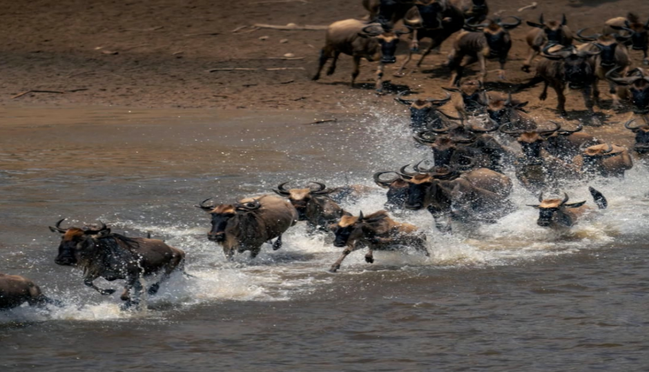 Slides Images for Classic Tanzania Tour