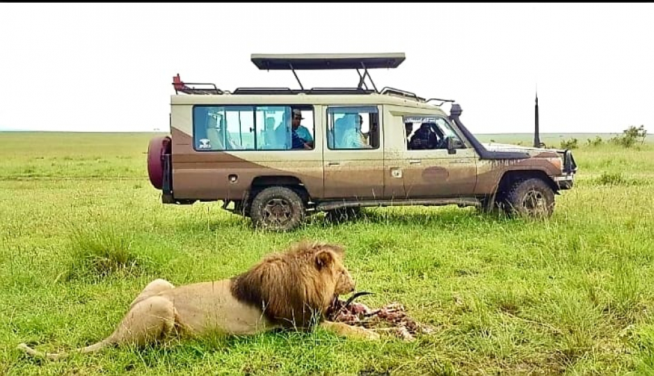 Masai Mara Wild Adventure