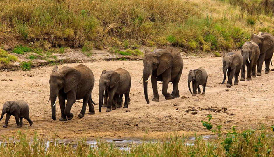 Slides Images for 3-Day Explore Wildlife & Waterfalls Safari Adventure