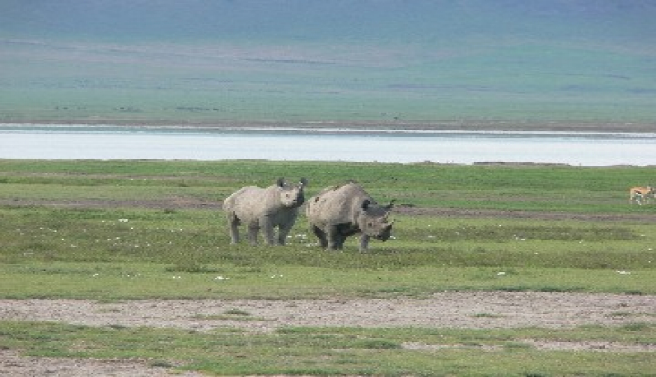 Slides Images for Tanzania Safari – Tarangire, Lake Manyara & Ngorongoro Crater